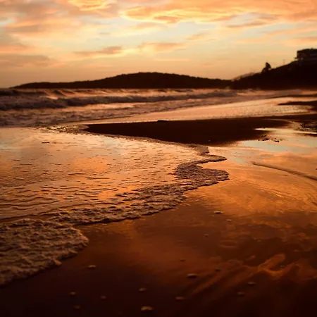 Beachfront Pleasure *