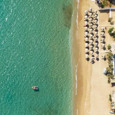 Beachfront Pleasure